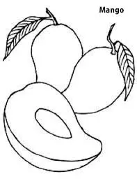 محصولات غذایی